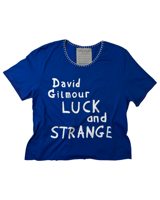 T- SHIRT PINK FLOYD // DAVID